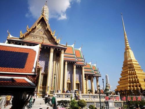 泰国钱母会反噬,泰国情将真的有用吗？